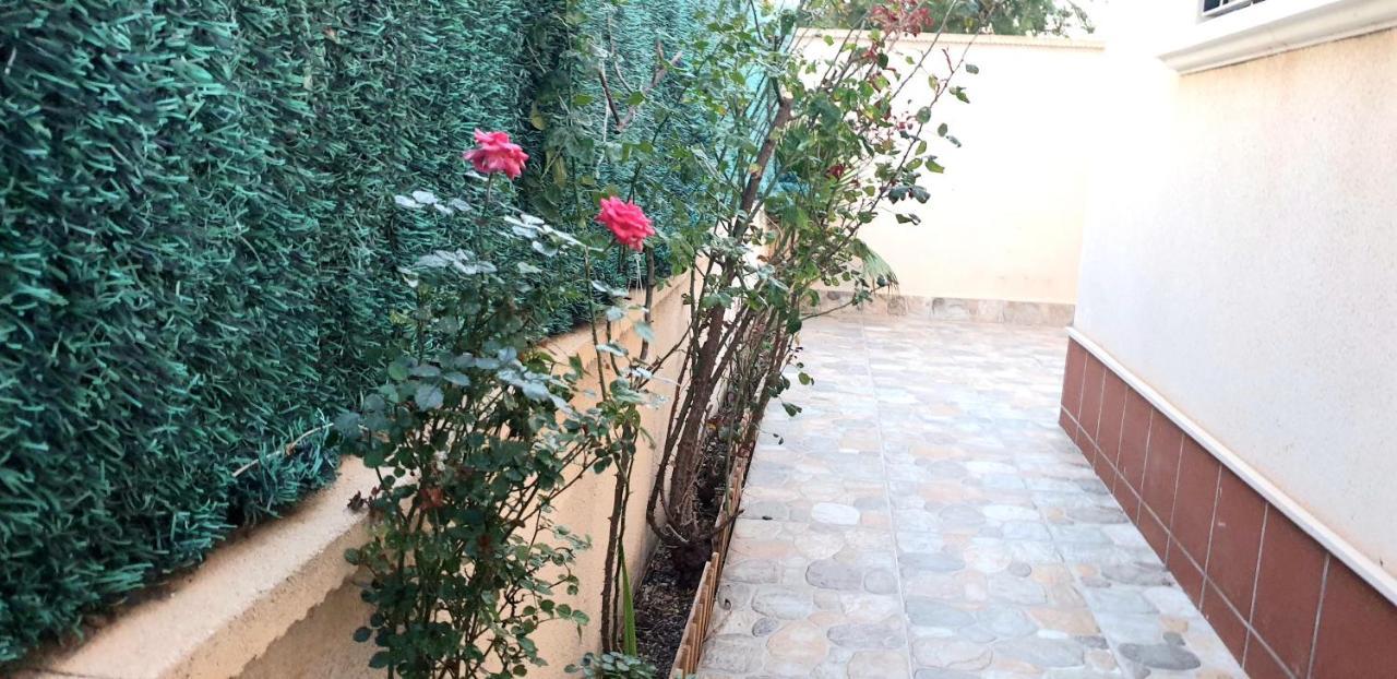 Arco Mediterraneo Chalet Independiente 托雷维耶哈 外观 照片